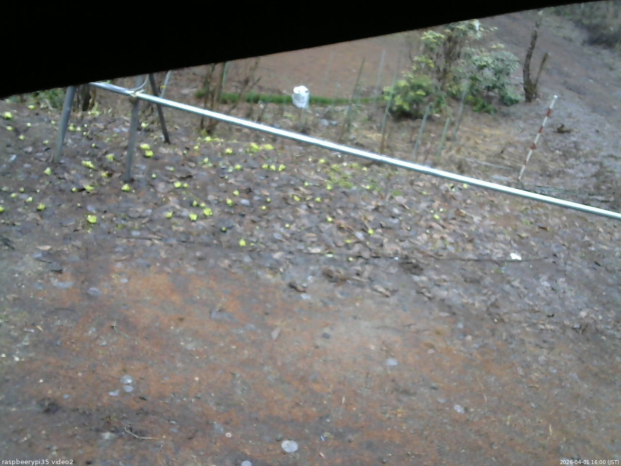 長野県菅平高原 ゆたか山荘 駐車場 2026/04/01 16:00