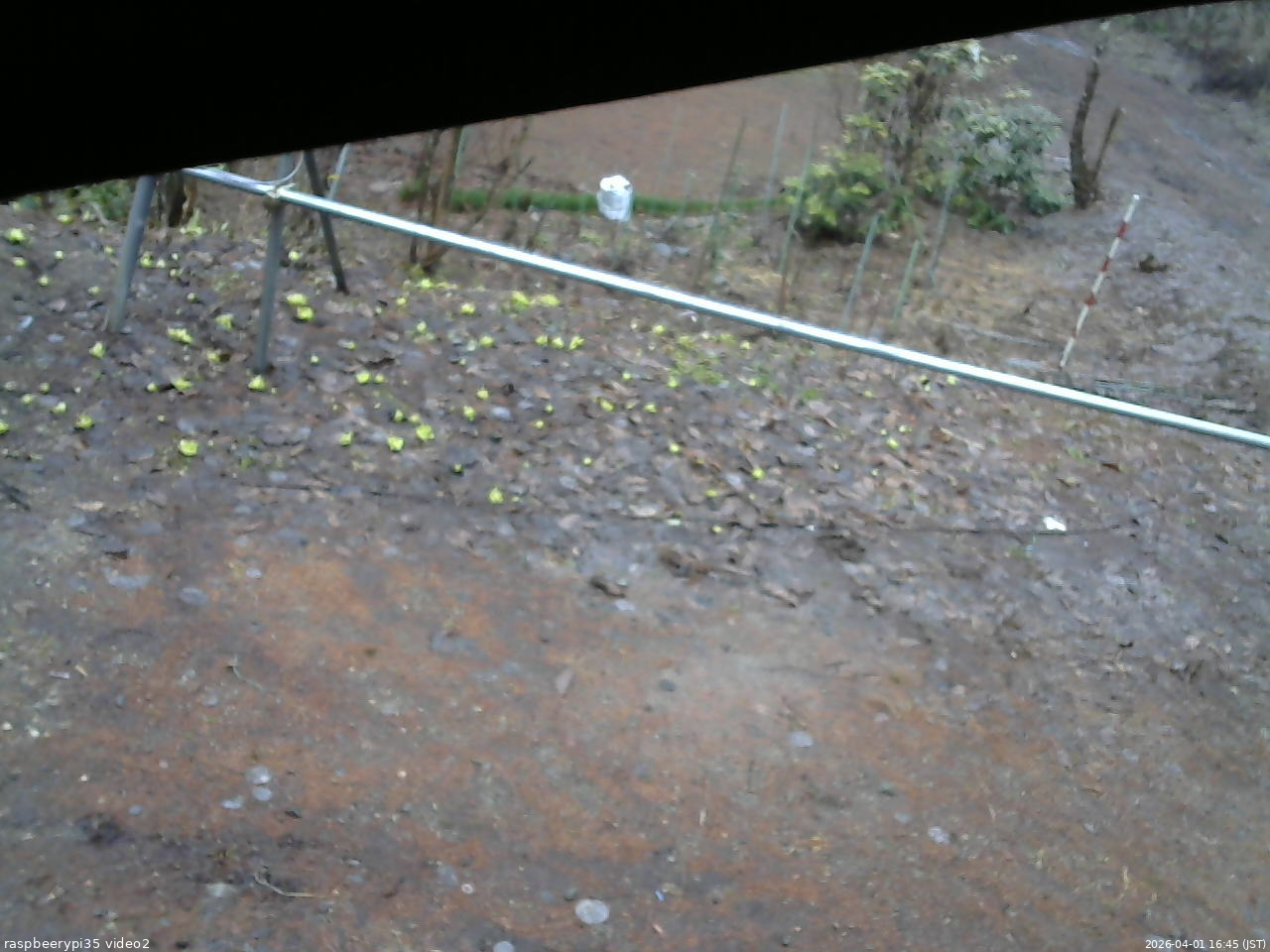 長野県菅平高原 ゆたか山荘 駐車場 2026/04/01 16:45