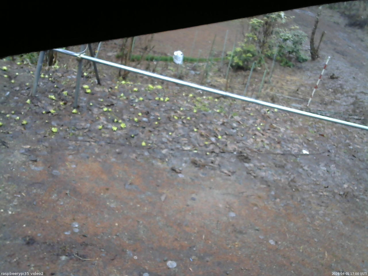 長野県菅平高原 ゆたか山荘 駐車場 2026/04/01 17:00