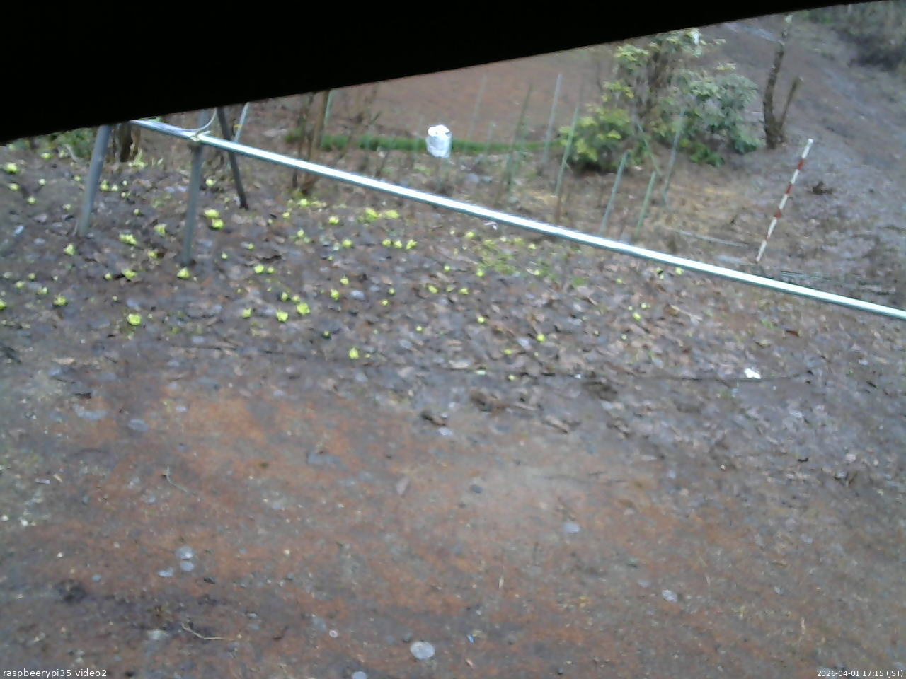 長野県菅平高原 ゆたか山荘 駐車場 2026/04/01 17:15