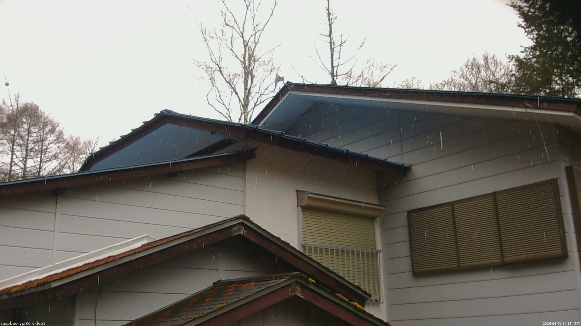 長野県菅平高原 ゆたか山荘 駐車場奥 2026/04/01 14:15