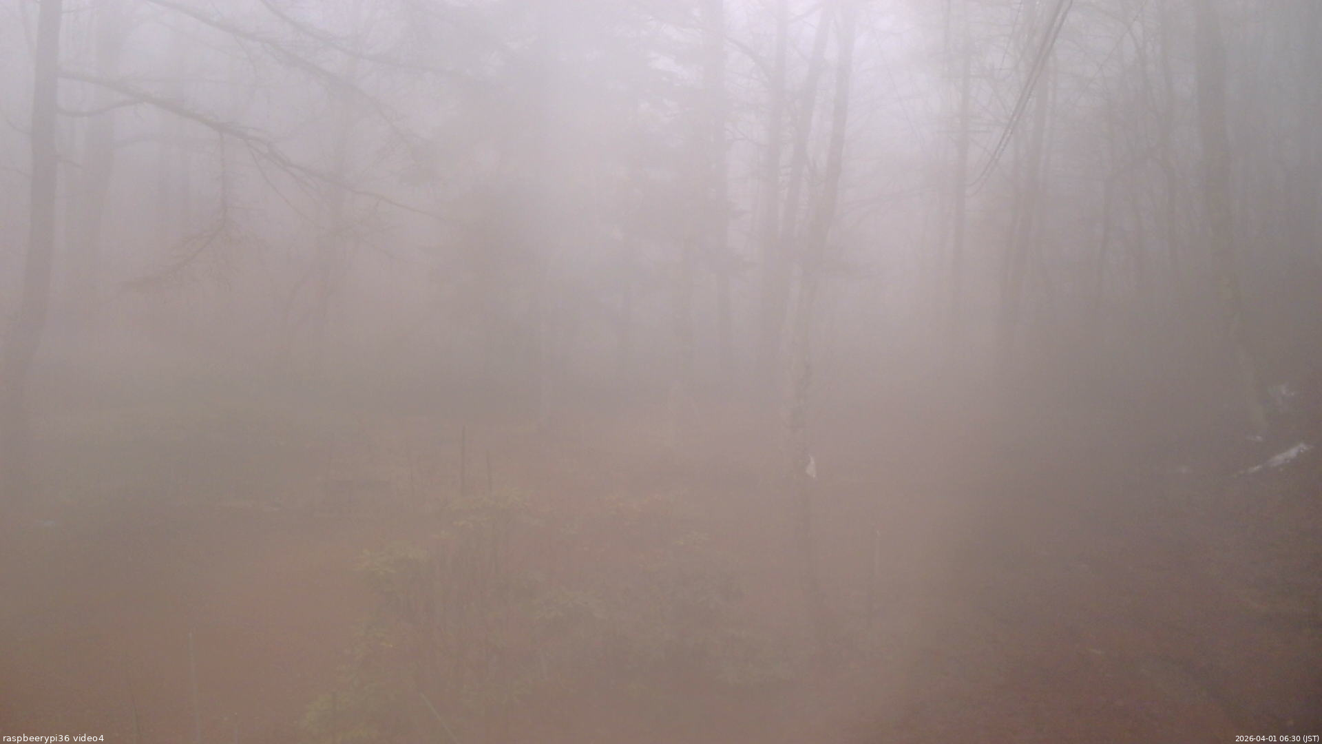 長野県菅平高原 ゆたか山荘 坂上 2026/04/01 06:30