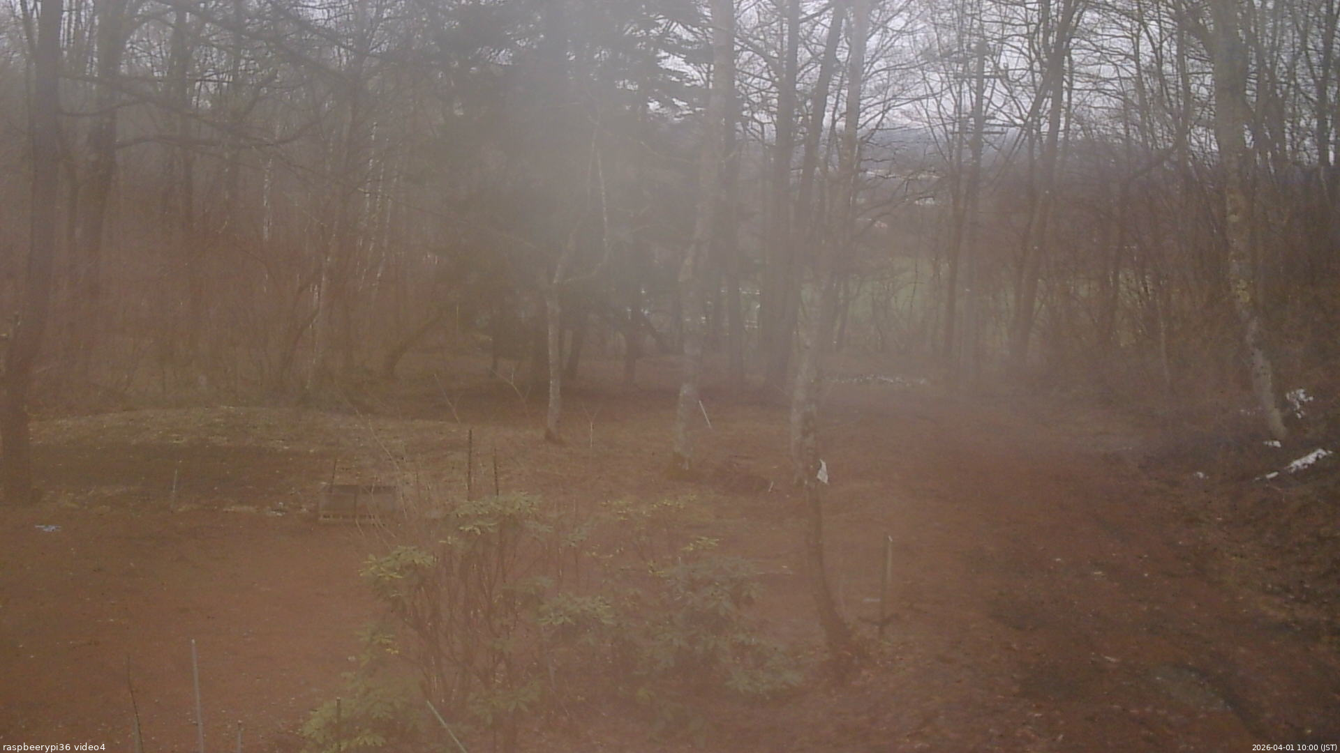 長野県菅平高原 ゆたか山荘 坂上 2026/04/01 10:00