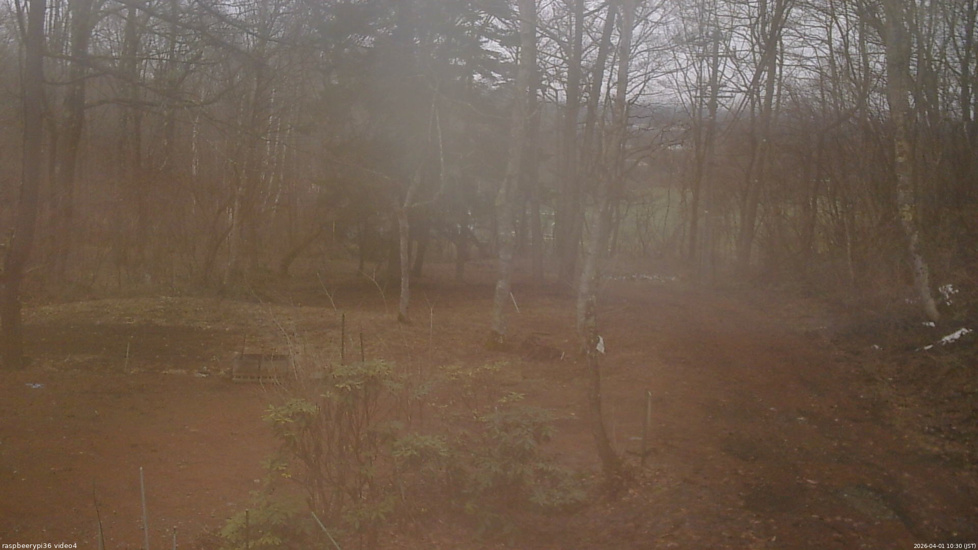 長野県菅平高原 ゆたか山荘 坂上 2026/04/01 10:30