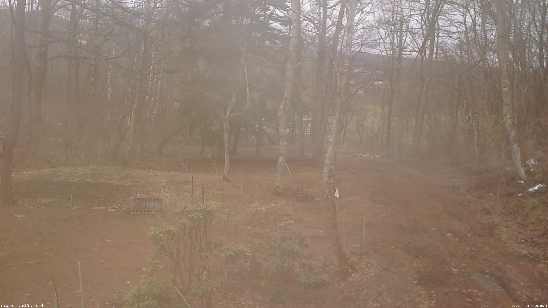 長野県菅平高原 ゆたか山荘 坂上 2026/04/01 11:30