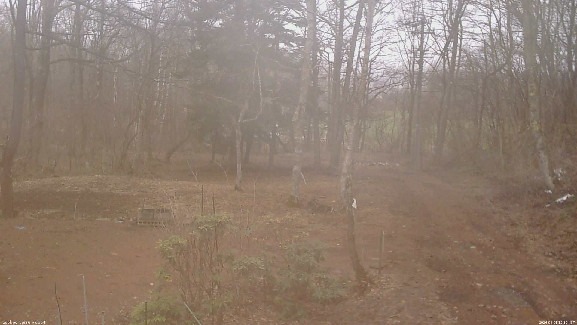 長野県菅平高原 ゆたか山荘 坂上 2026/04/01 12:30