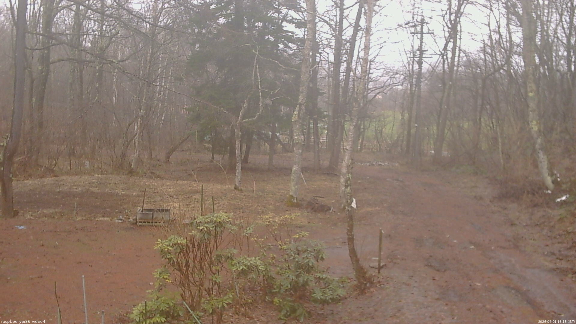 長野県菅平高原 ゆたか山荘 坂上 2026/04/01 16:15