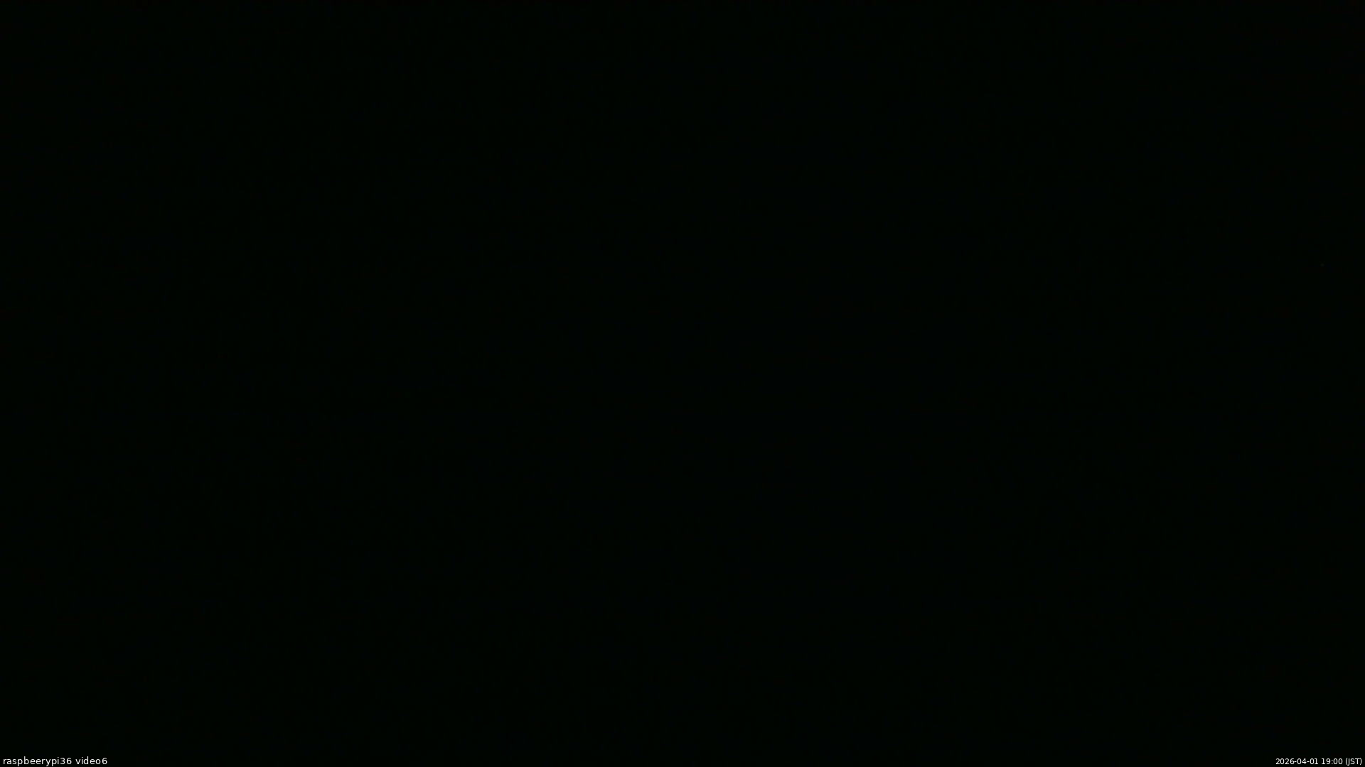 長野県菅平高原 ゆたか山荘 坂下 2026/04/01 19:00