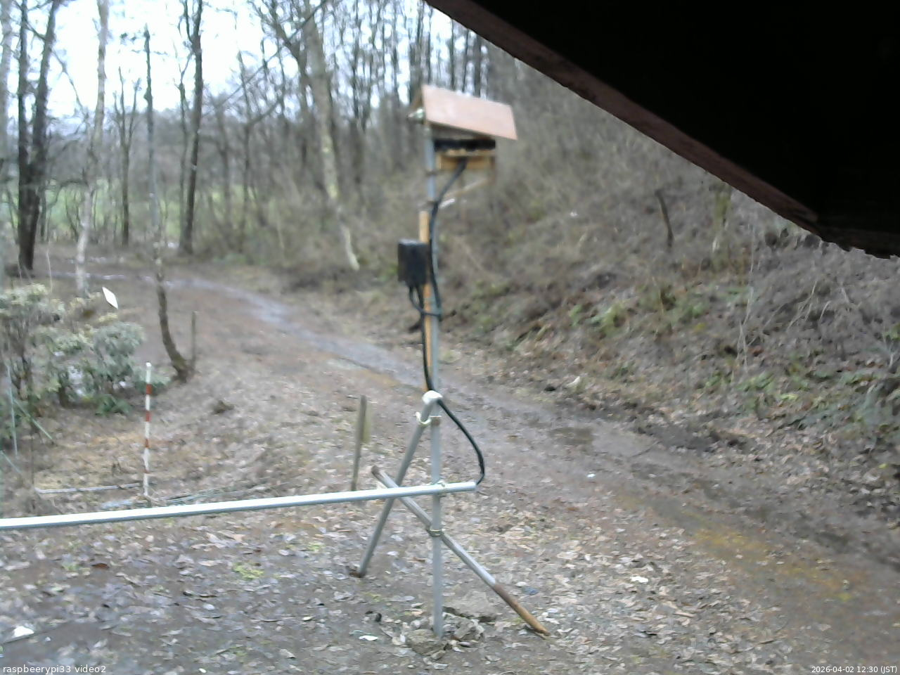 長野県菅平高原 ゆたか山荘 南側 2026/04/02 12:30