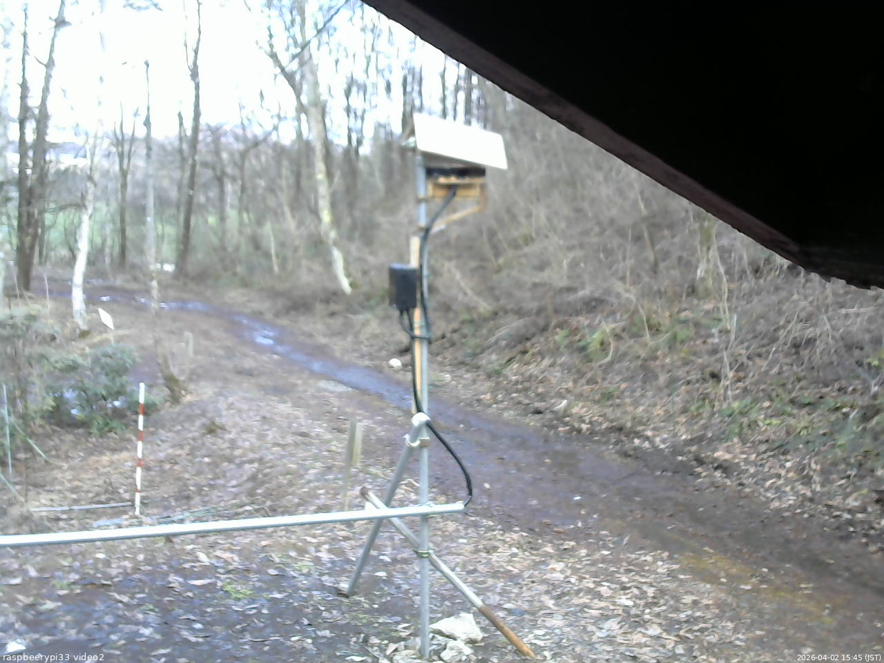 長野県菅平高原 ゆたか山荘 南側 2026/04/02 15:45