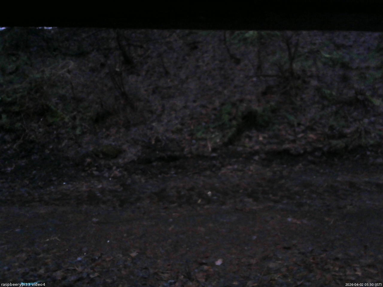 長野県菅平高原 ゆたか山荘 東側(坂下) 2026/04/02 05:30