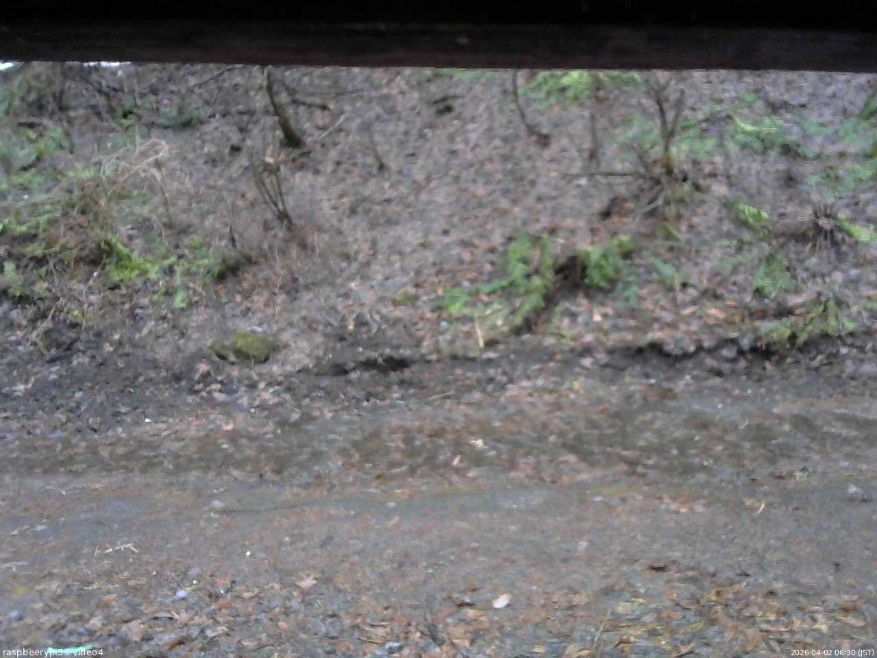 長野県菅平高原 ゆたか山荘 東側(坂下) 2026/04/02 06:30