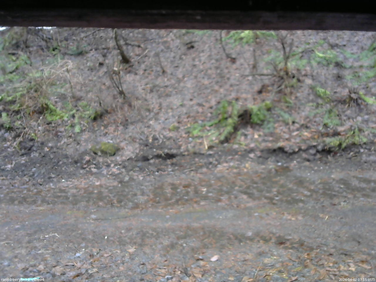 長野県菅平高原 ゆたか山荘 東側(坂下) 2026/04/02 07:15