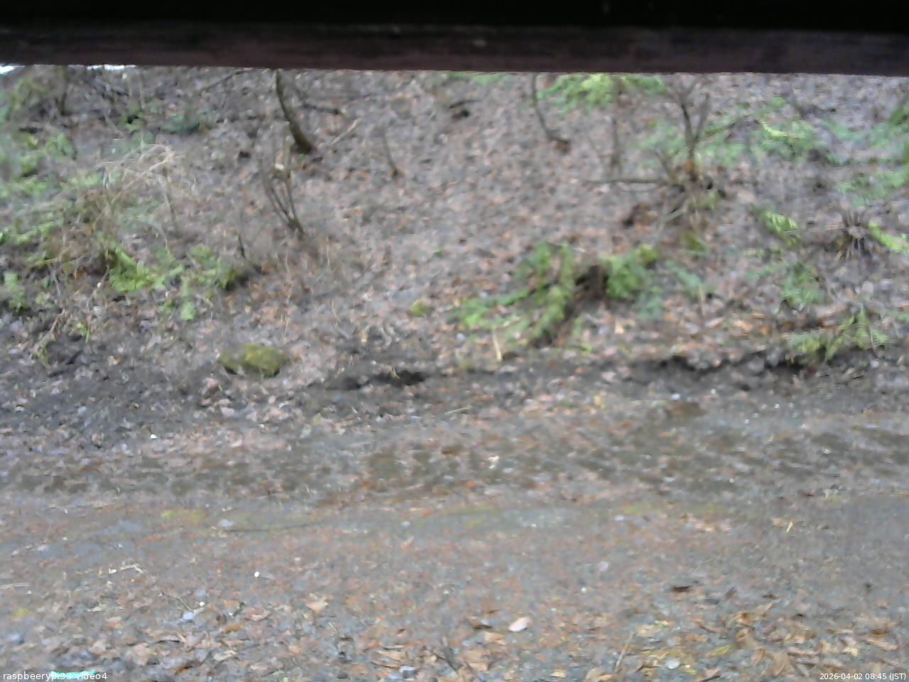 長野県菅平高原 ゆたか山荘 東側(坂下) 2026/04/02 08:45
