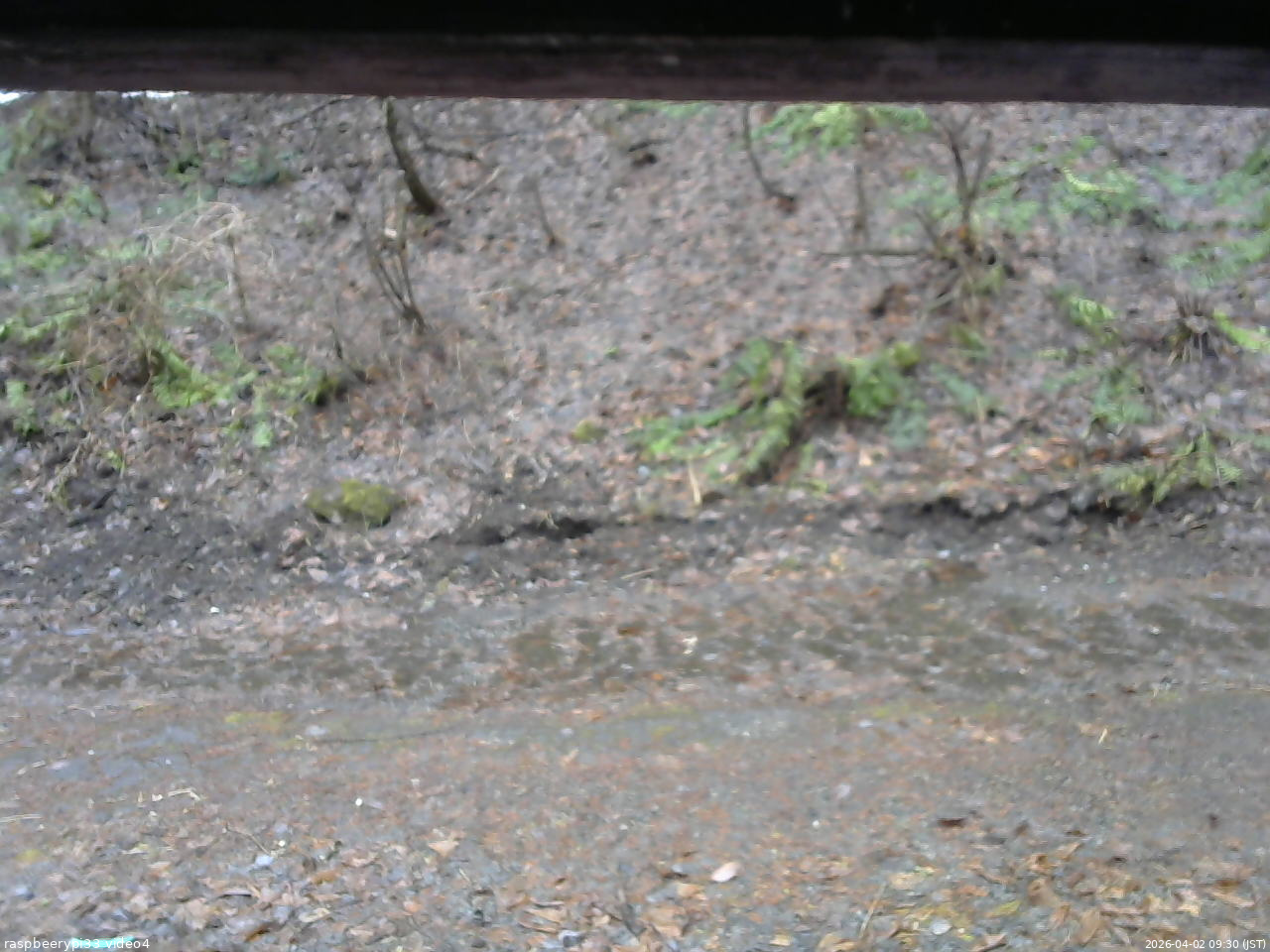 長野県菅平高原 ゆたか山荘 東側(坂下) 2026/04/02 09:30