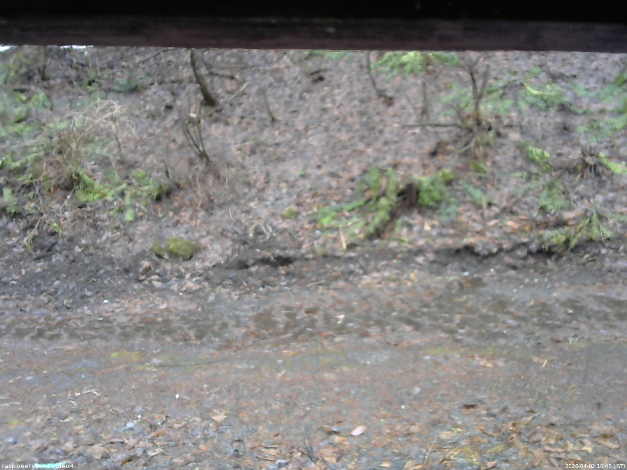 長野県菅平高原 ゆたか山荘 東側(坂下) 2026/04/02 10:45