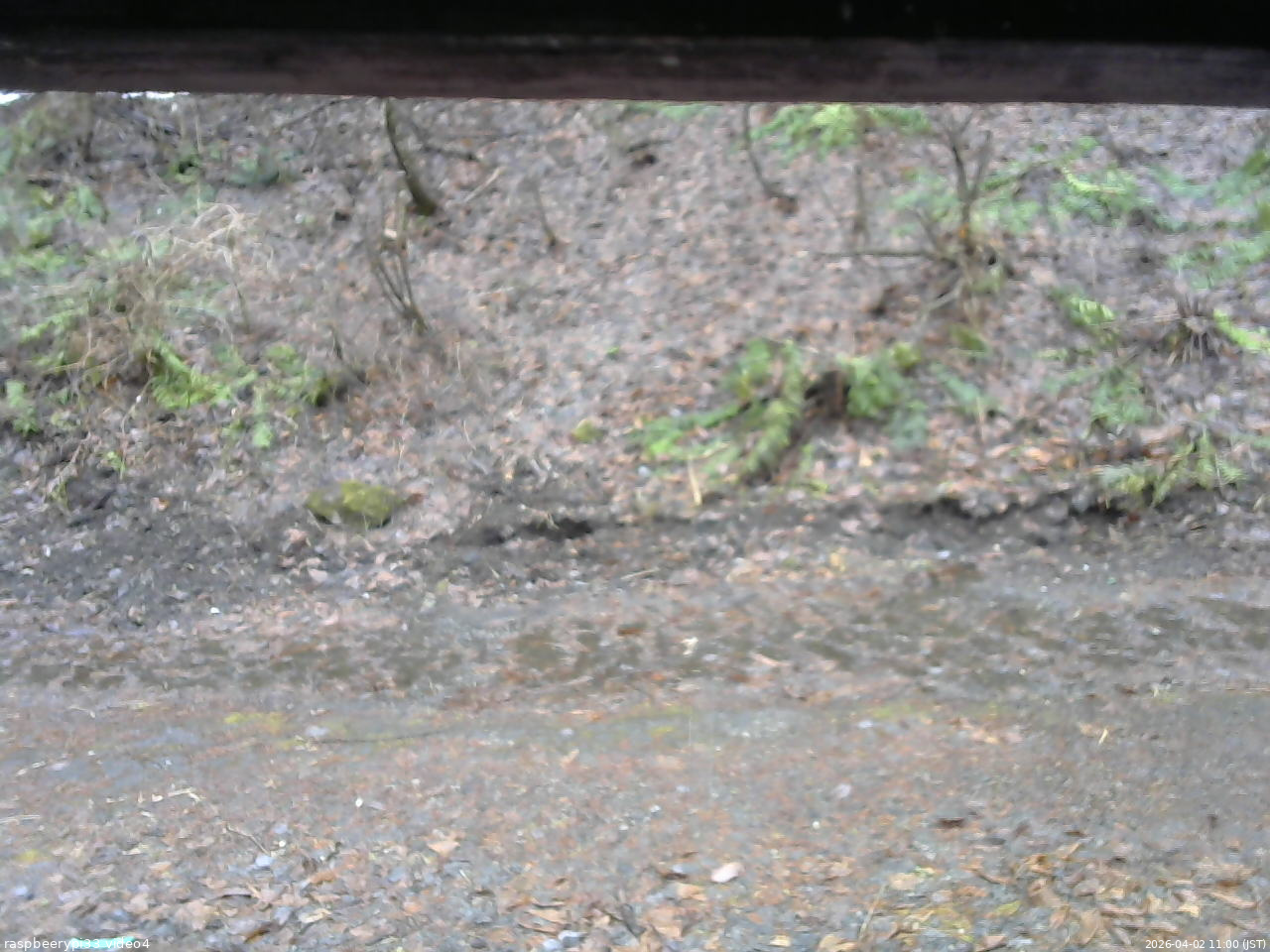 長野県菅平高原 ゆたか山荘 東側(坂下) 2026/04/02 11:00