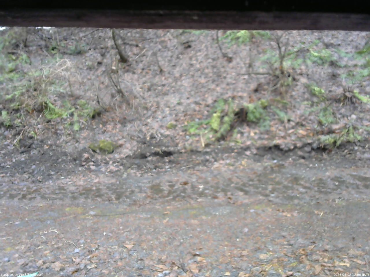 長野県菅平高原 ゆたか山荘 東側(坂下) 2026/04/02 12:00