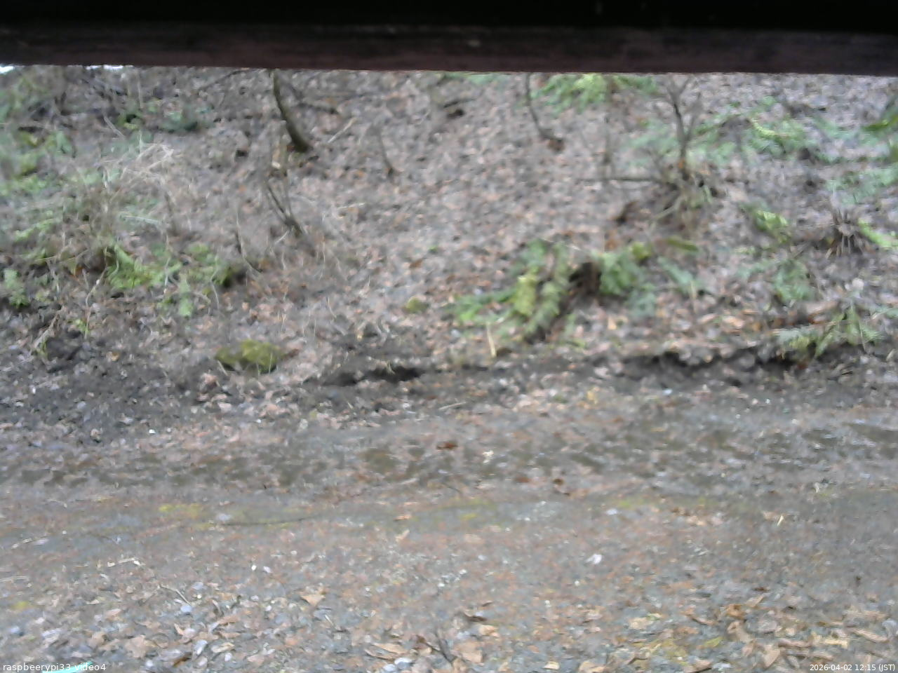 長野県菅平高原 ゆたか山荘 東側(坂下) 2026/04/02 12:15