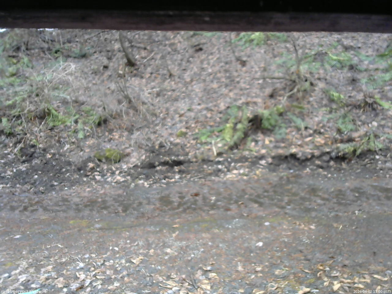 長野県菅平高原 ゆたか山荘 東側(坂下) 2026/04/02 13:00