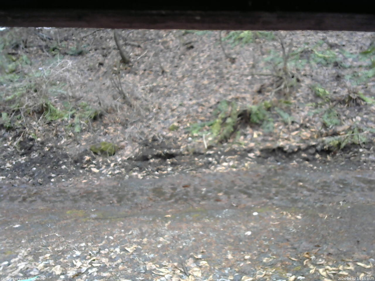 長野県菅平高原 ゆたか山荘 東側(坂下) 2026/04/02 14:15