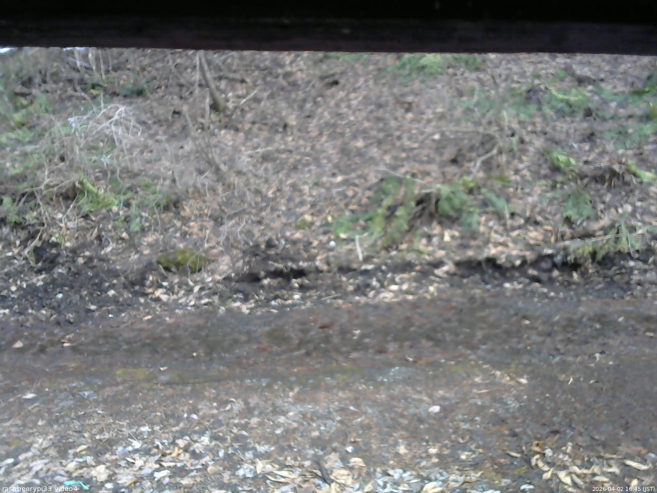 長野県菅平高原 ゆたか山荘 東側(坂下) 2026/04/02 16:45