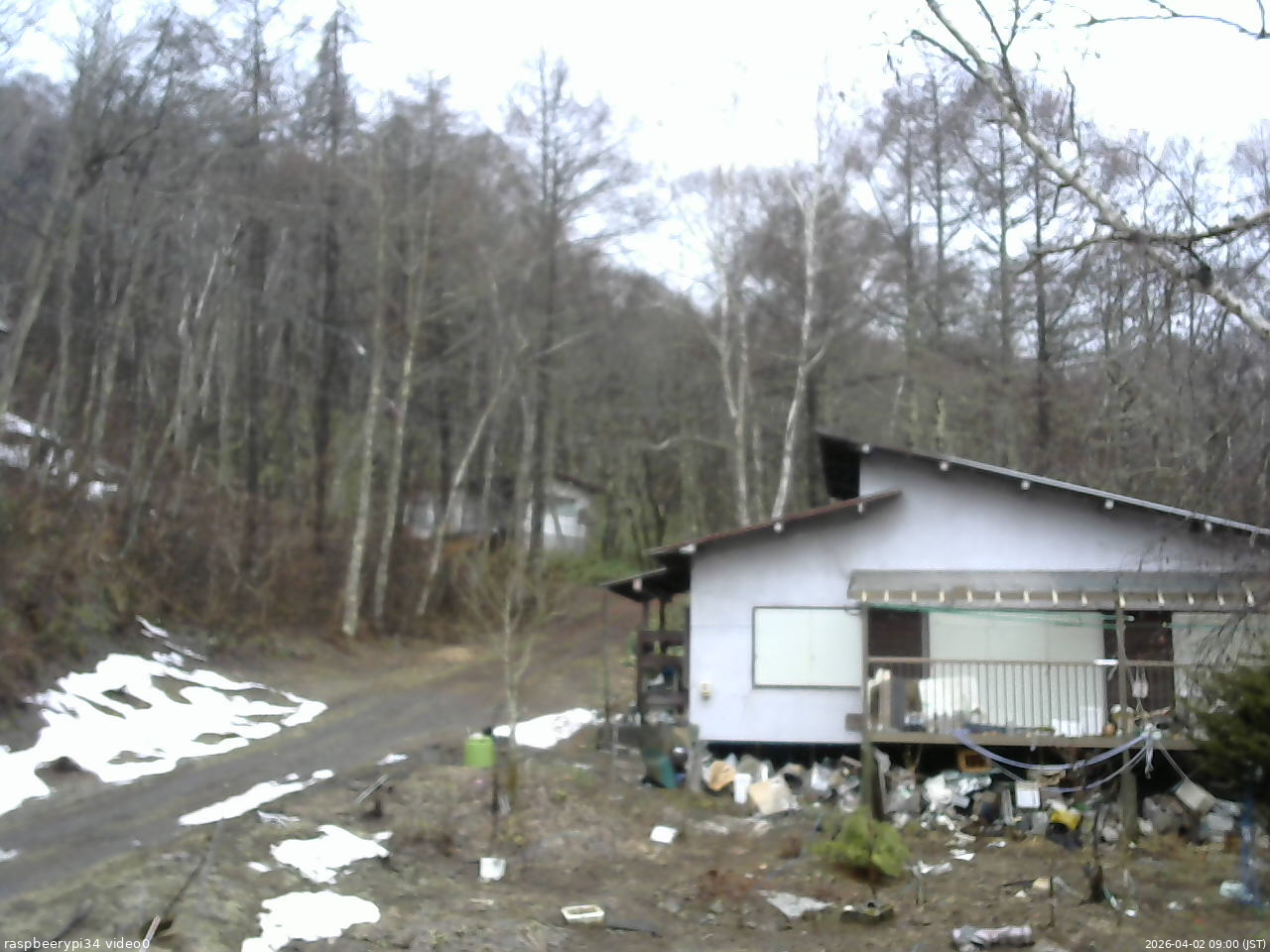 長野県菅平高原 ゆたか山荘 西側(坂上) 2026/04/02 09:00