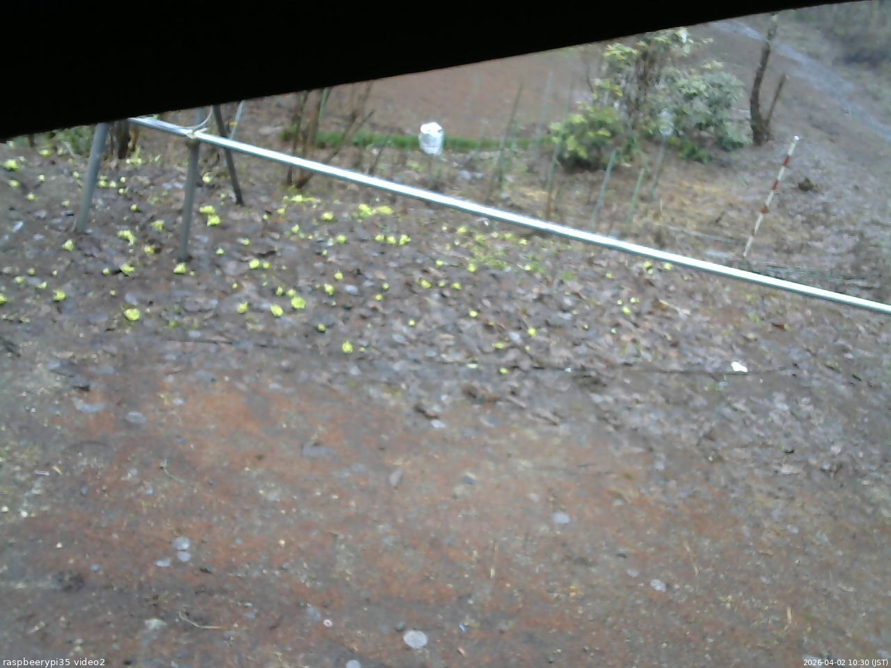 長野県菅平高原 ゆたか山荘 駐車場 2026/04/02 10:30