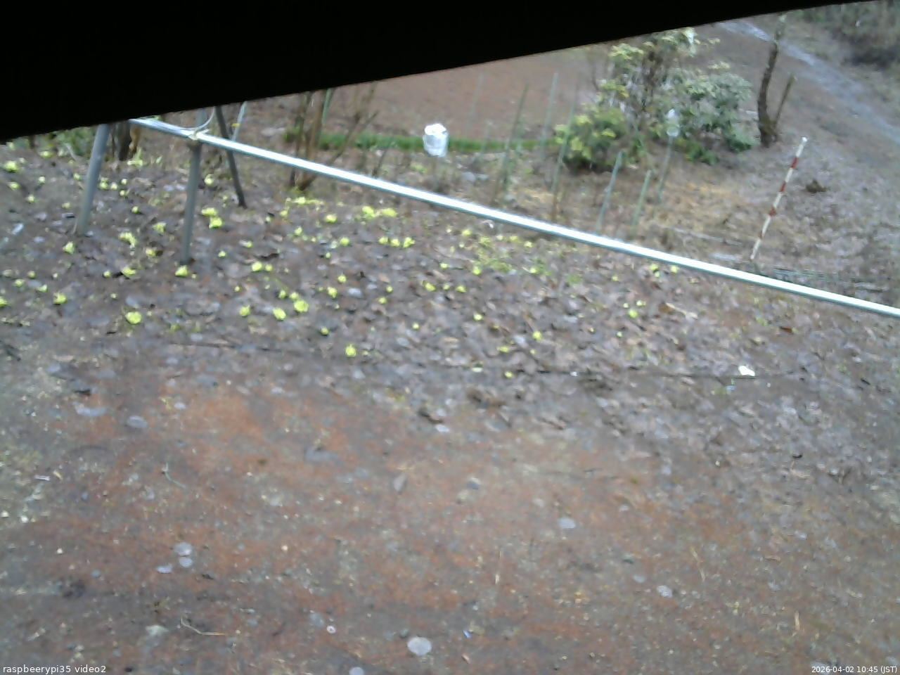 長野県菅平高原 ゆたか山荘 駐車場 2026/04/02 10:45