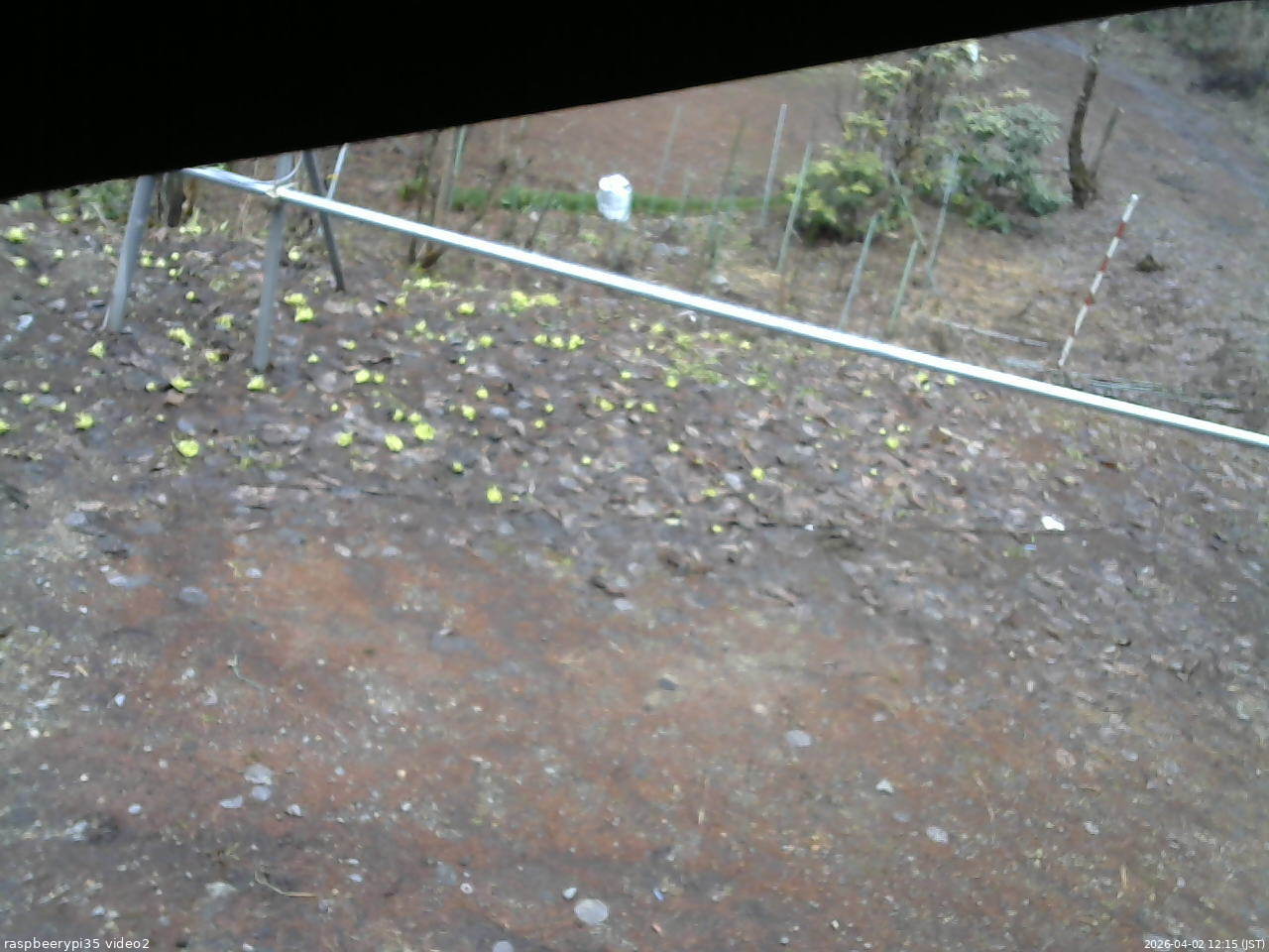 長野県菅平高原 ゆたか山荘 駐車場 2026/04/02 12:15