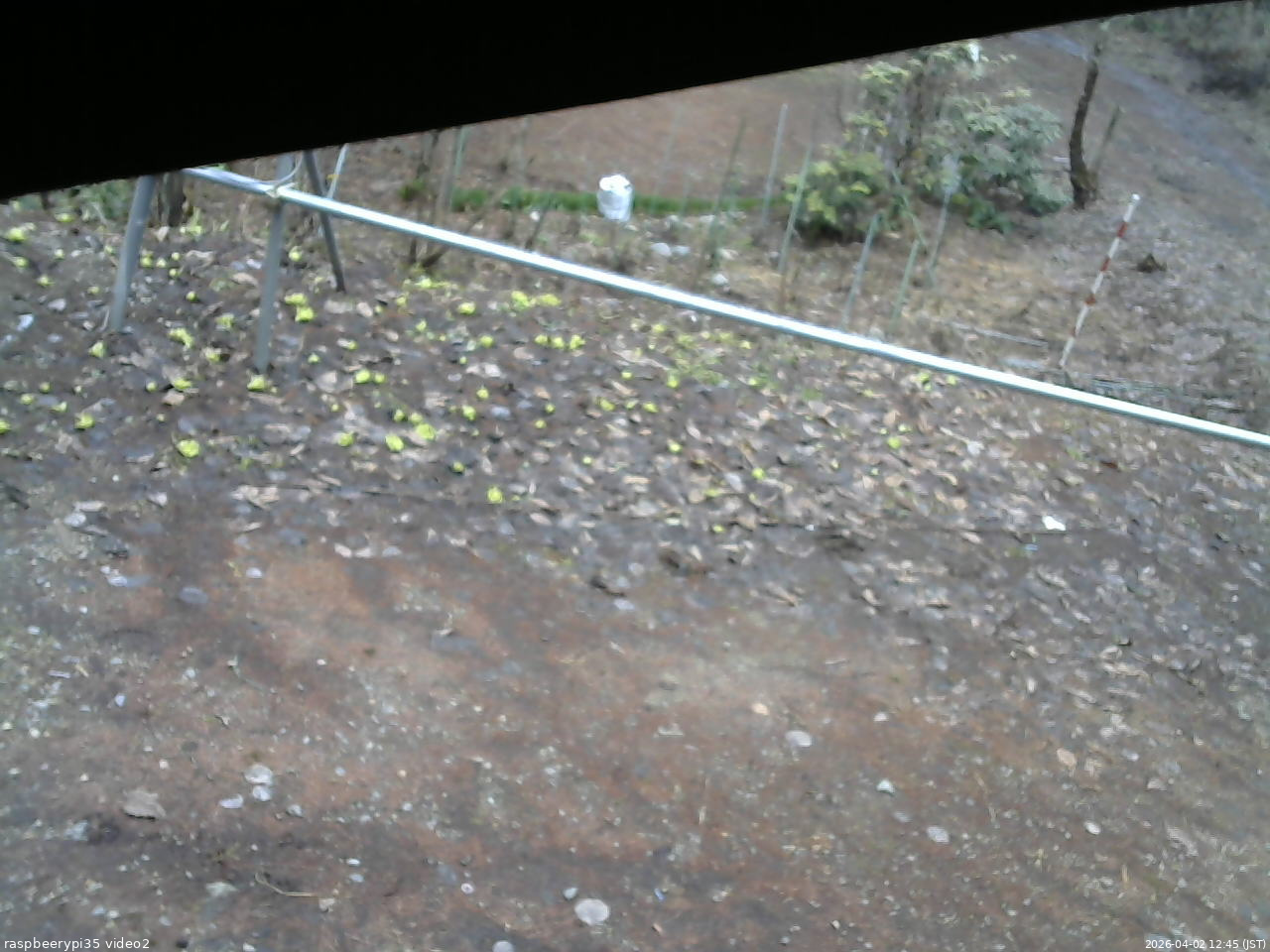 長野県菅平高原 ゆたか山荘 駐車場 2026/04/02 12:45