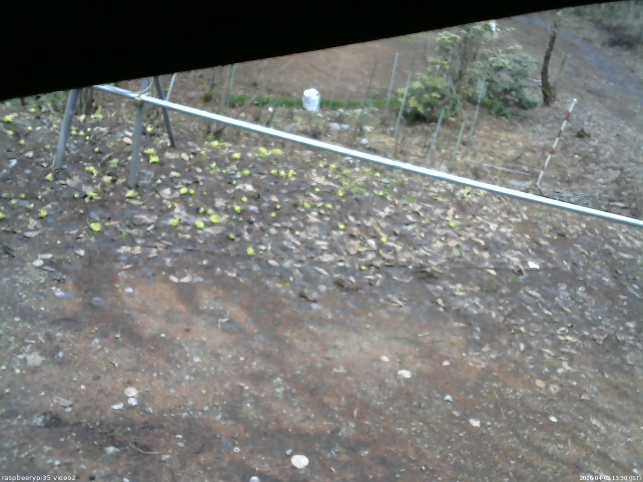 長野県菅平高原 ゆたか山荘 駐車場 2026/04/02 13:30