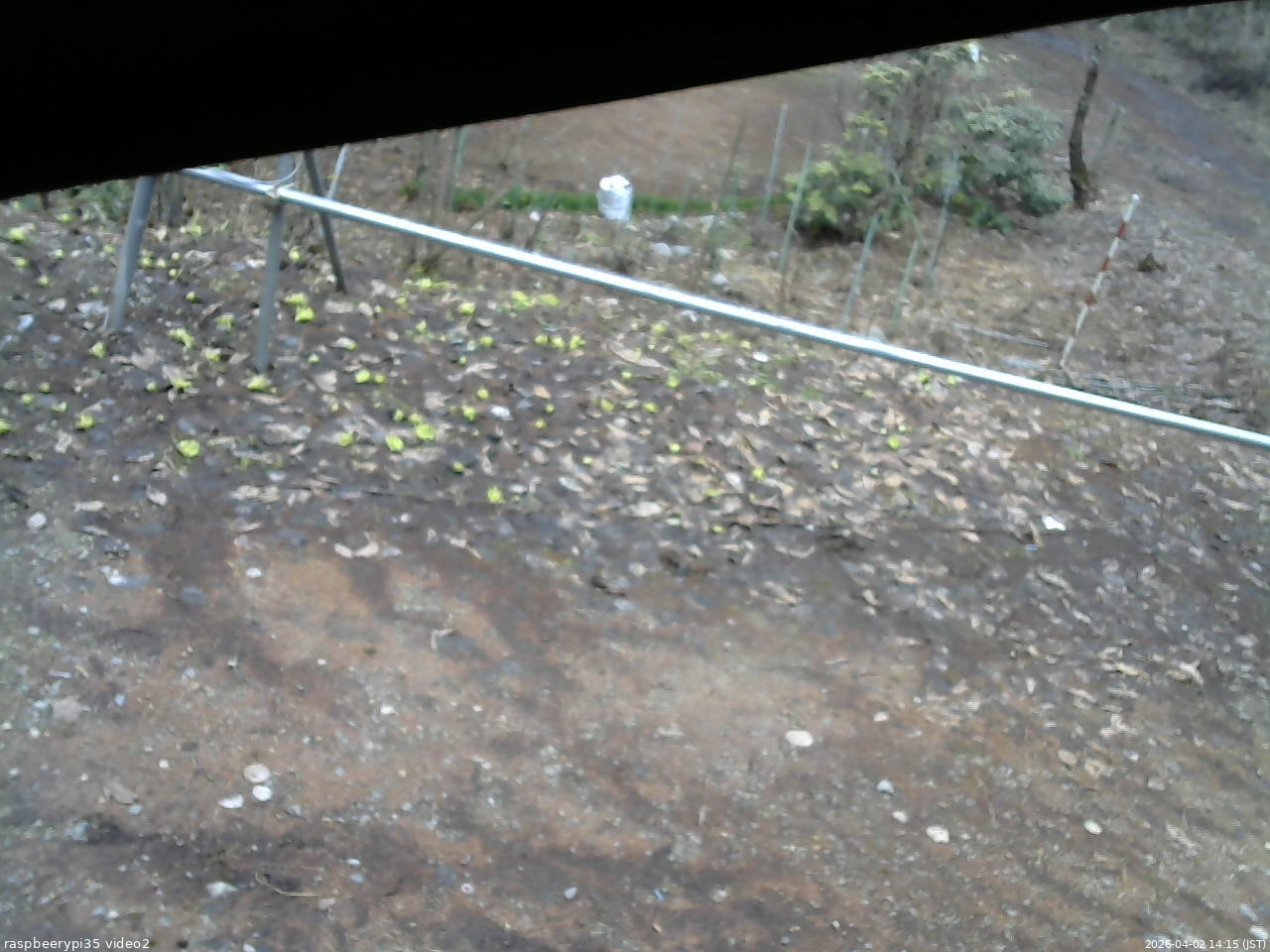長野県菅平高原 ゆたか山荘 駐車場 2026/04/02 14:15