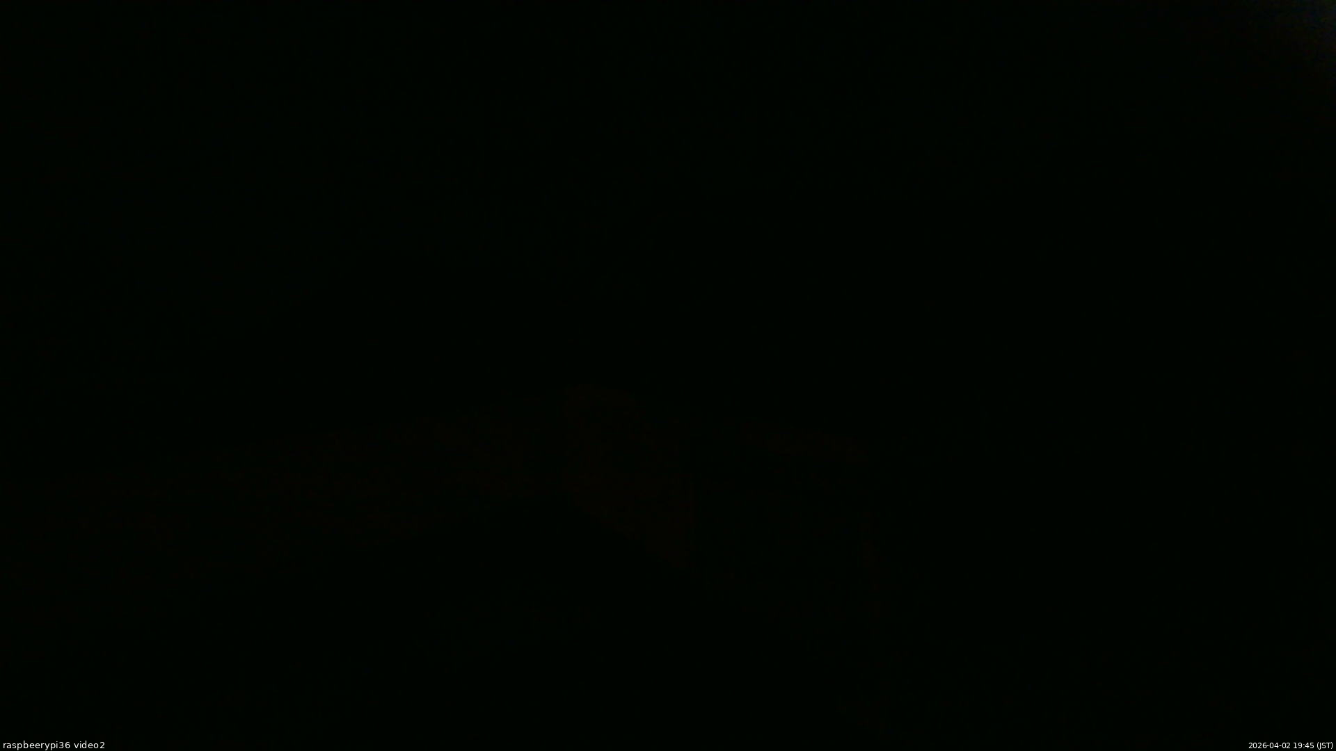 長野県菅平高原 ゆたか山荘 駐車場奥 2026/04/02 19:45