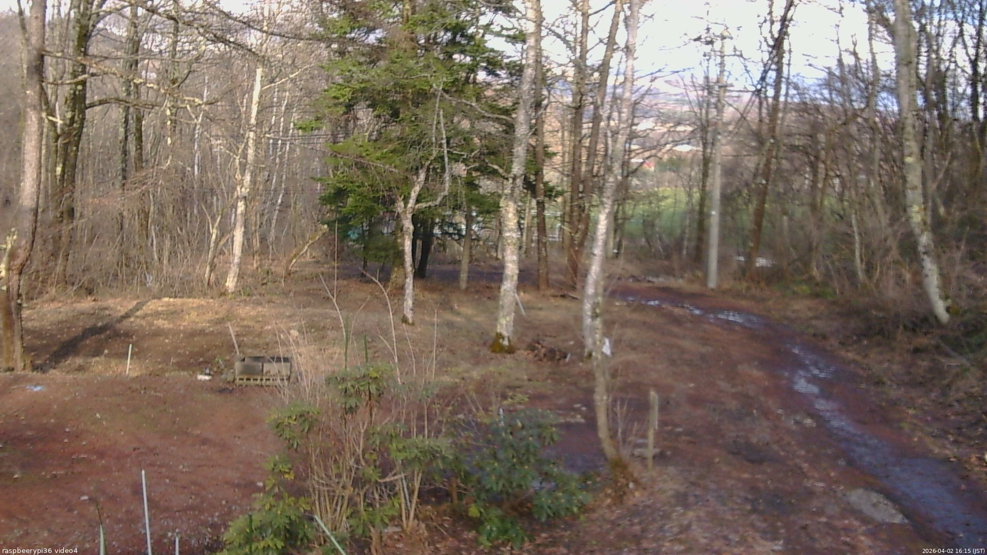 長野県菅平高原 ゆたか山荘 坂上 2026/04/02 16:15