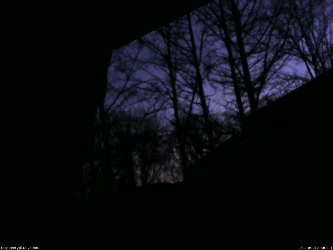 長野県菅平高原 ゆたか山荘 北側 2026/04/03 05:00