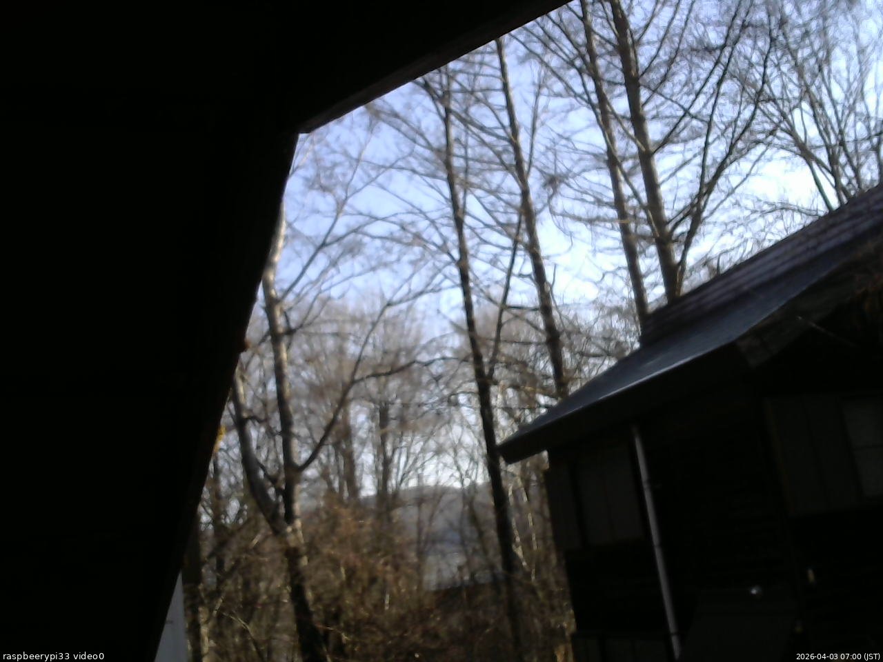 長野県菅平高原 ゆたか山荘 北側 2026/04/03 07:00