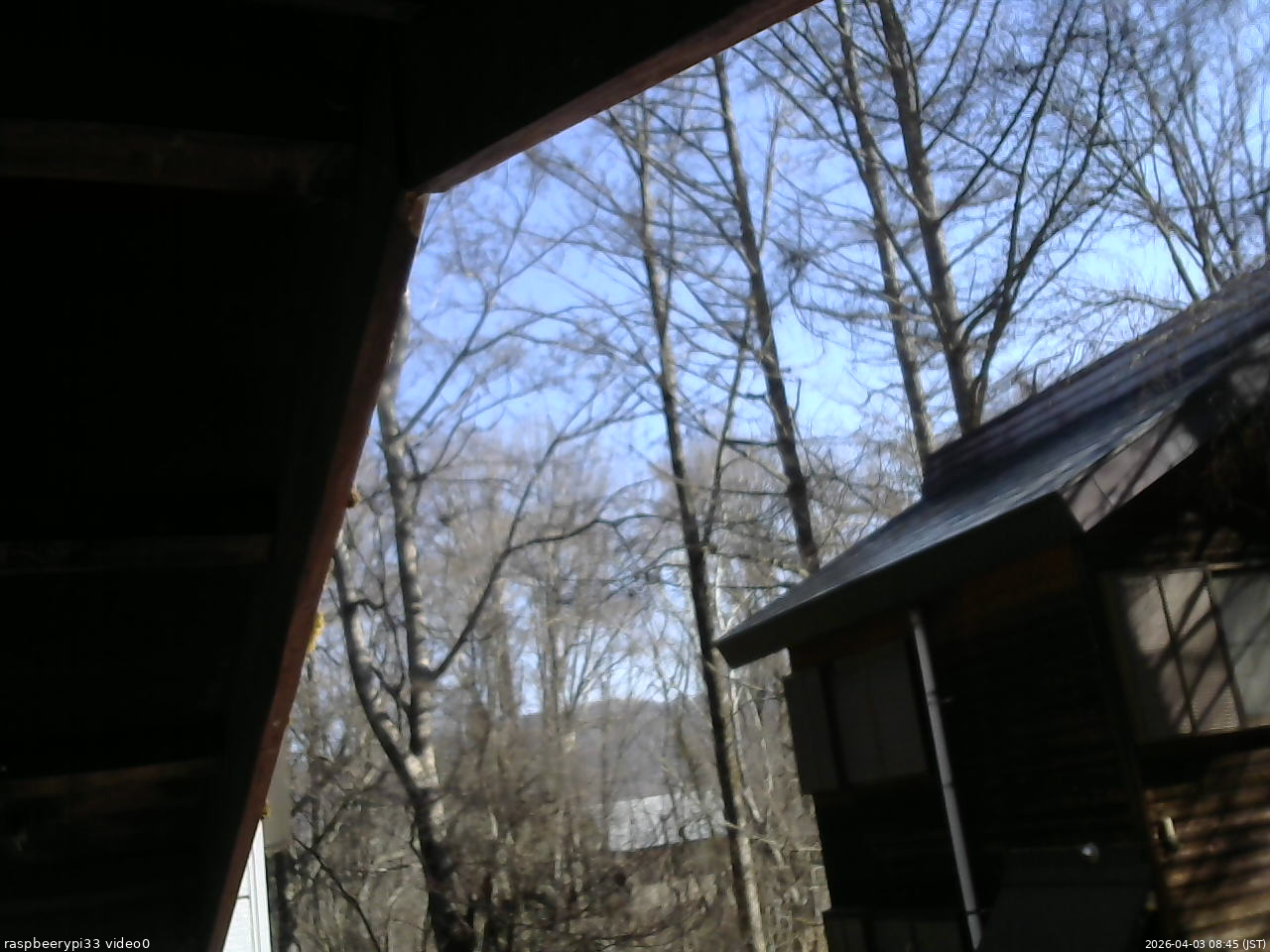 長野県菅平高原 ゆたか山荘 北側 2026/04/03 08:45