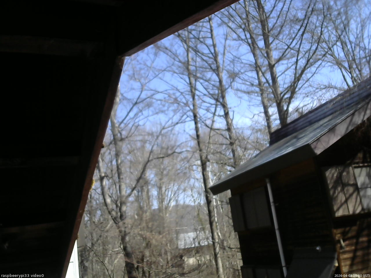 長野県菅平高原 ゆたか山荘 北側 2026/04/03 10:00