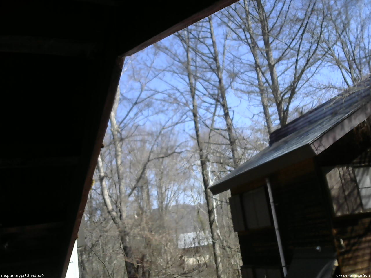 長野県菅平高原 ゆたか山荘 北側 2026/04/03 10:30