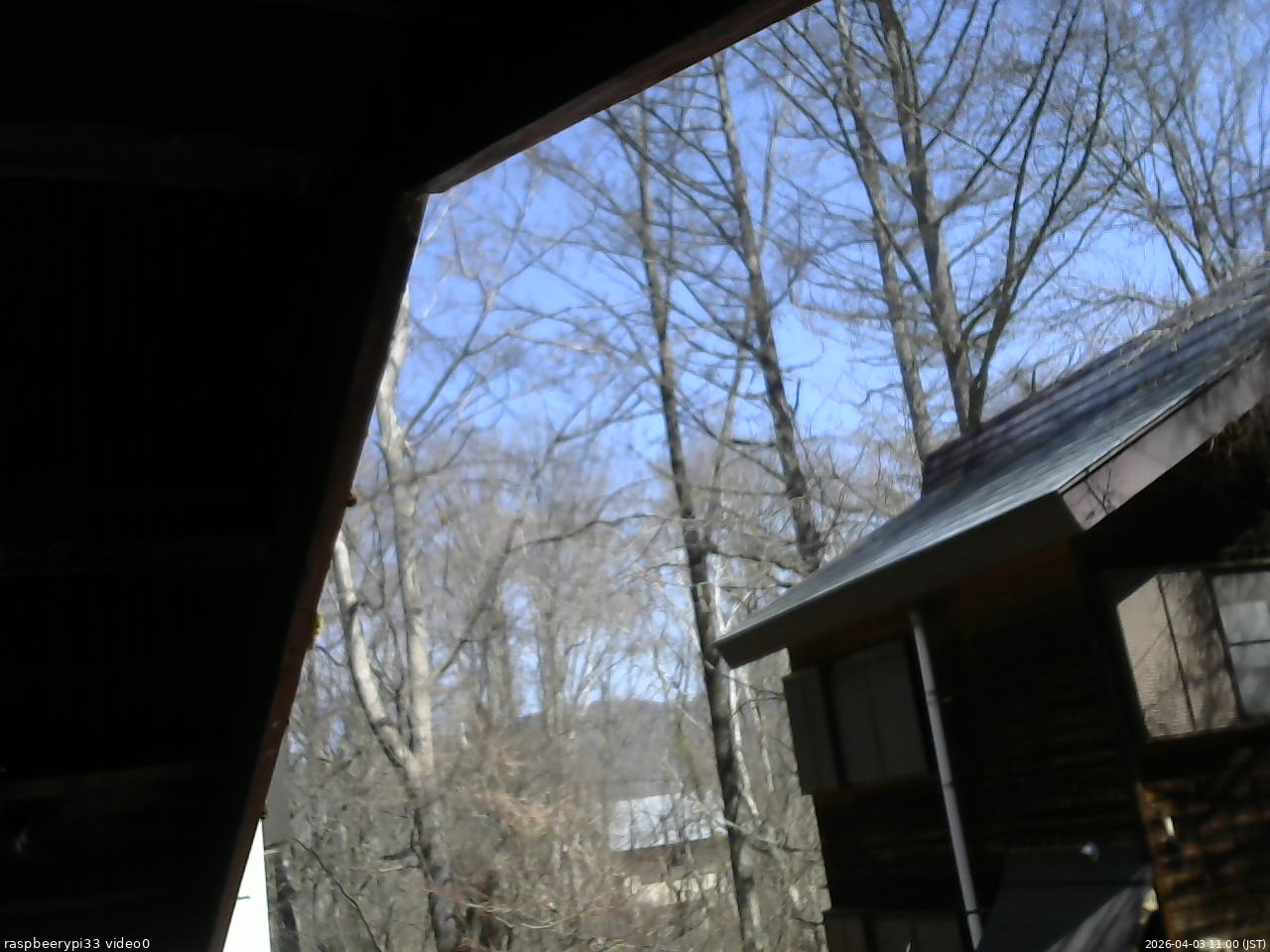 長野県菅平高原 ゆたか山荘 北側 2026/04/03 11:00