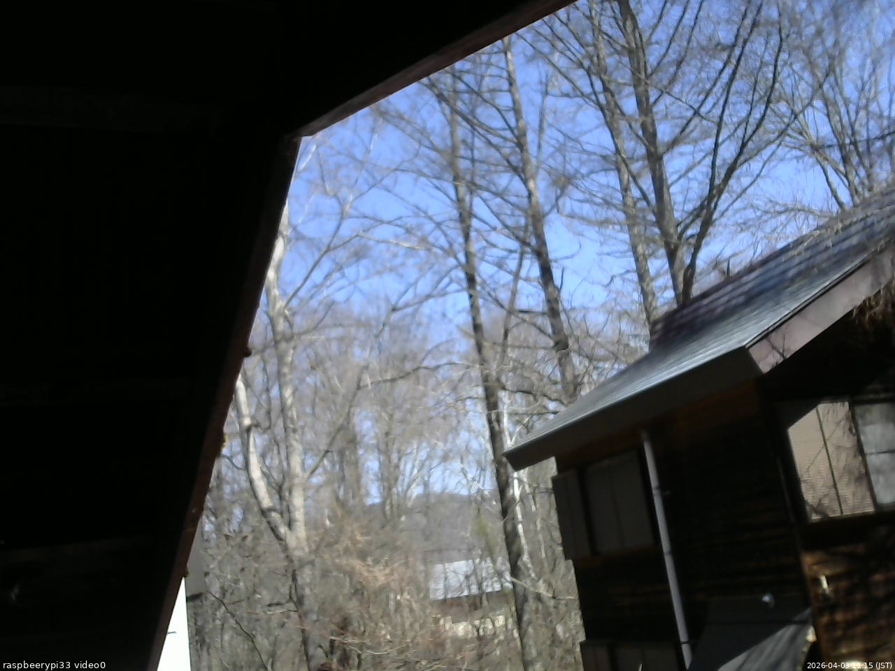 長野県菅平高原 ゆたか山荘 北側 2026/04/03 11:15