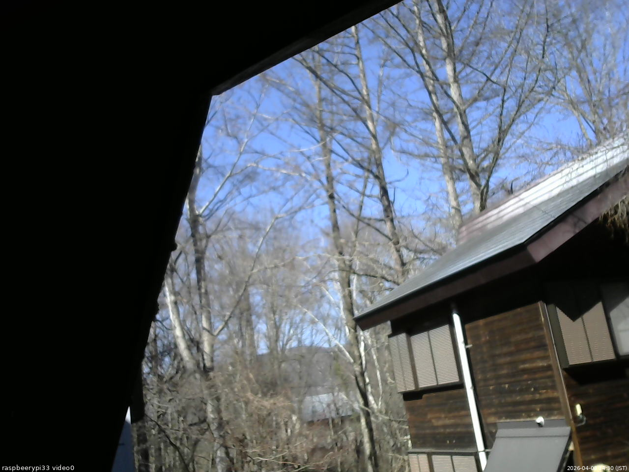 長野県菅平高原 ゆたか山荘 北側 2026/04/03 14:30