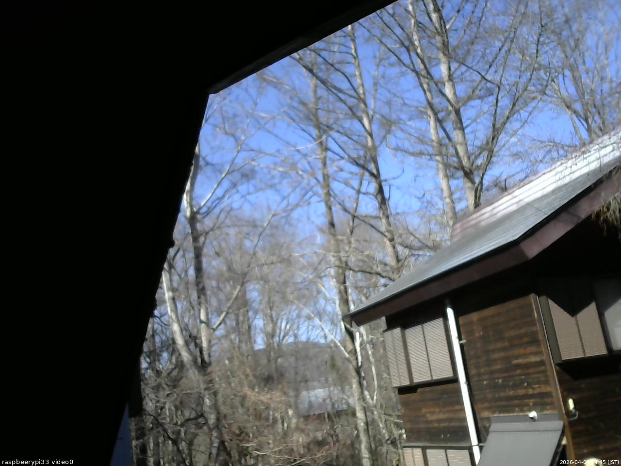 長野県菅平高原 ゆたか山荘 北側 2026/04/03 14:45