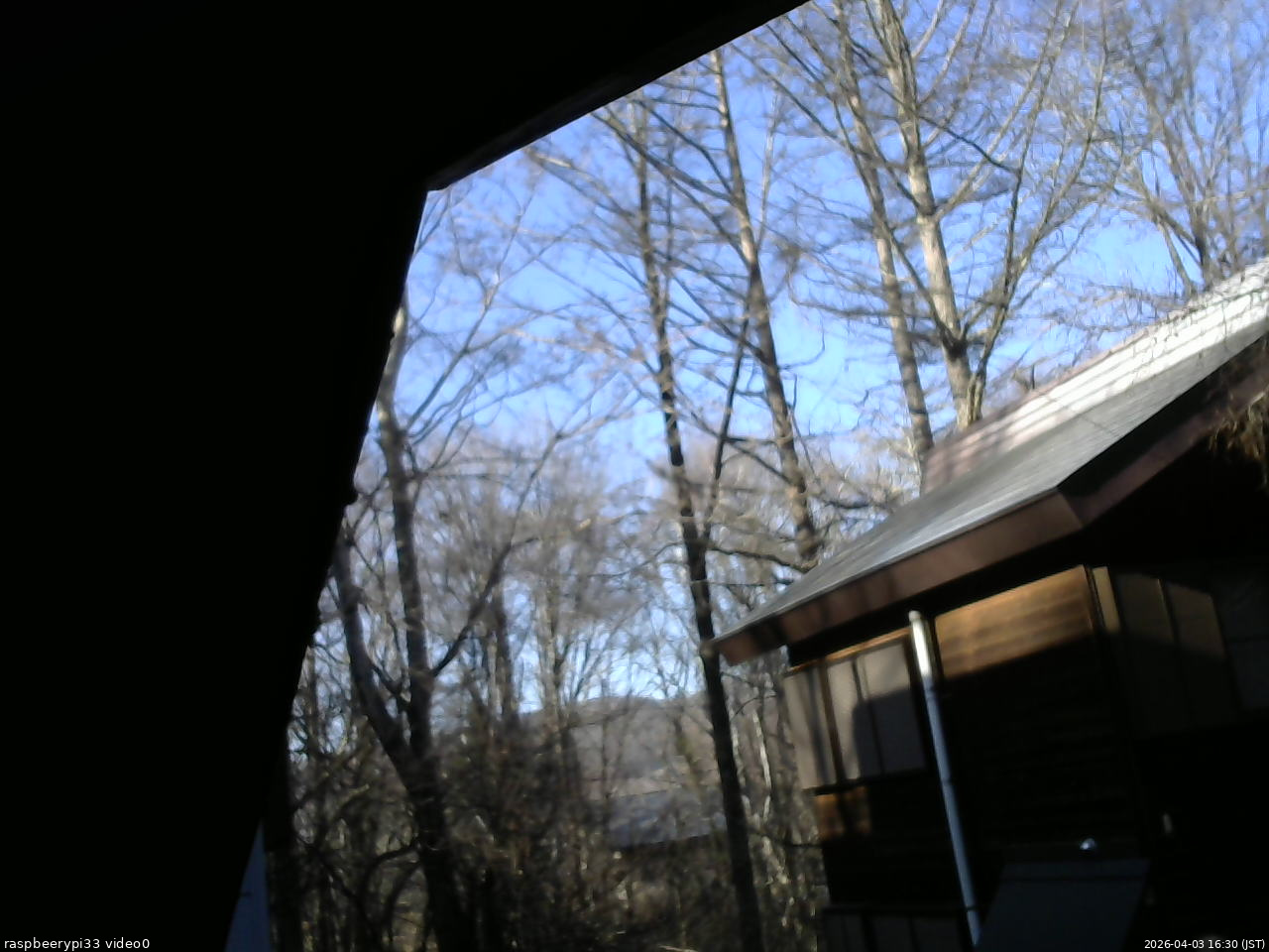 長野県菅平高原 ゆたか山荘 北側 2026/04/03 16:30