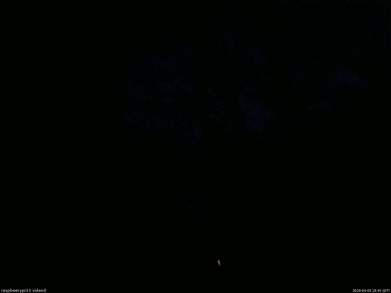 長野県菅平高原 ゆたか山荘 北側 2026/04/03 18:45