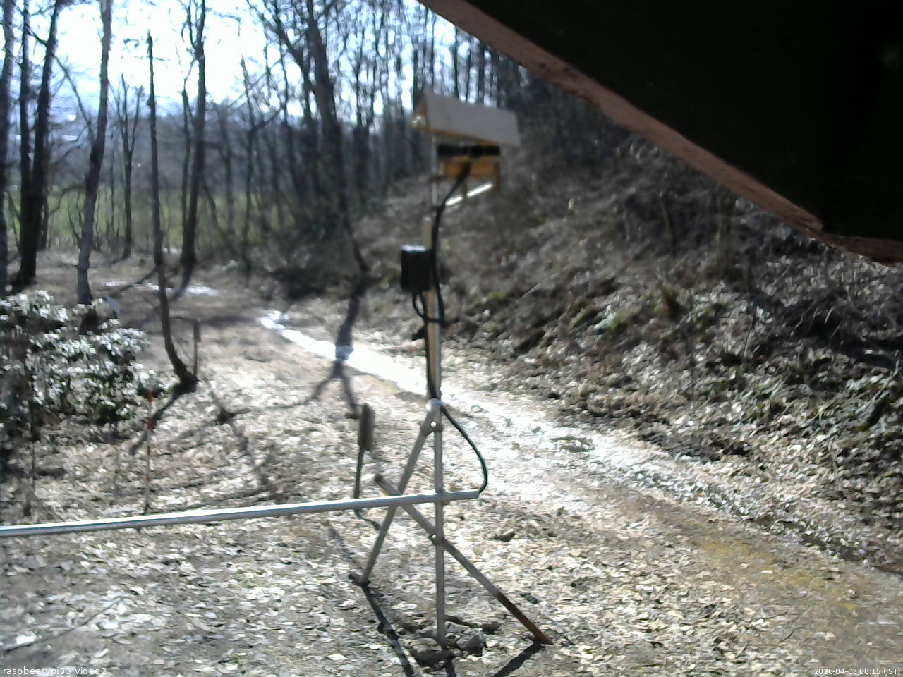 長野県菅平高原 ゆたか山荘 南側 2026/04/03 08:15