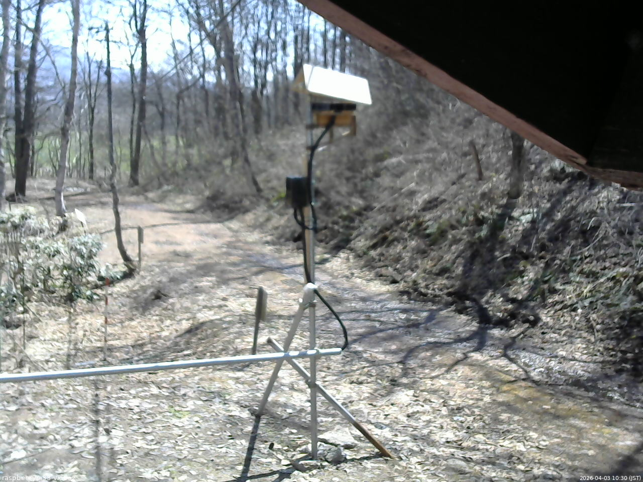 長野県菅平高原 ゆたか山荘 南側 2026/04/03 10:30