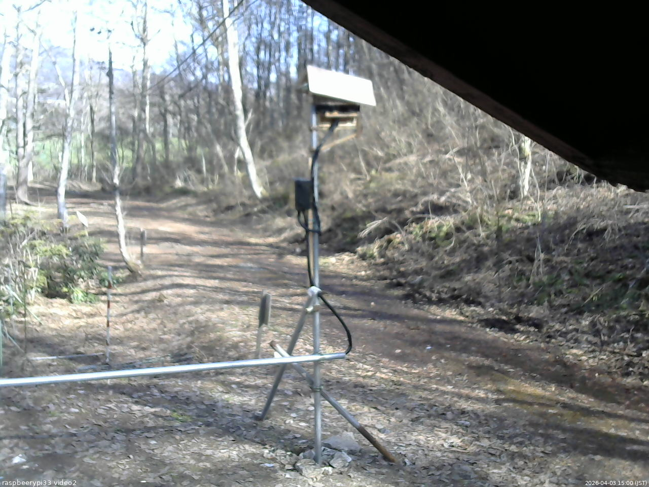 長野県菅平高原 ゆたか山荘 南側 2026/04/03 15:00