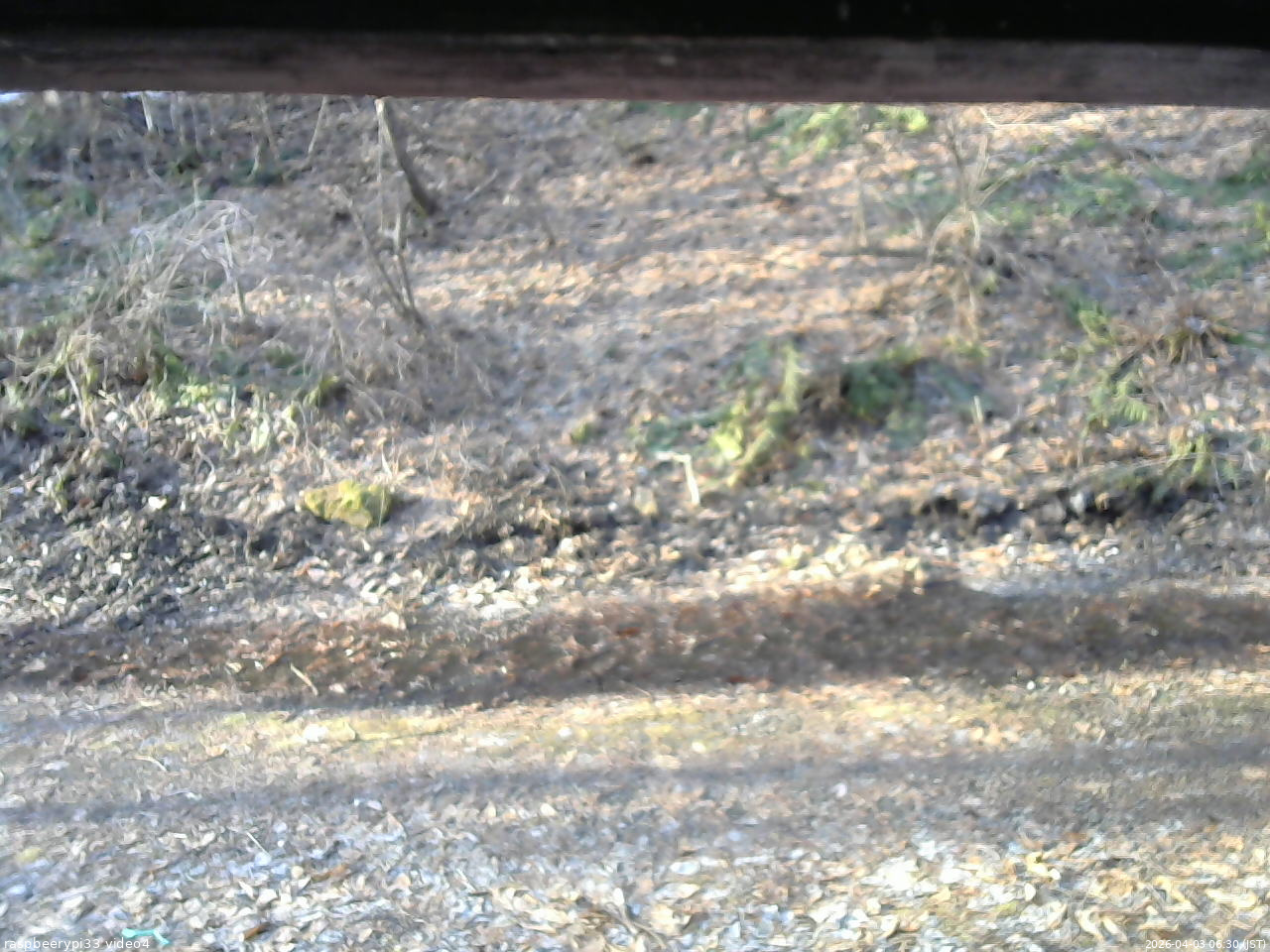 長野県菅平高原 ゆたか山荘 東側(坂下) 2026/04/03 06:30
